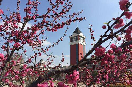 光大学校国际部