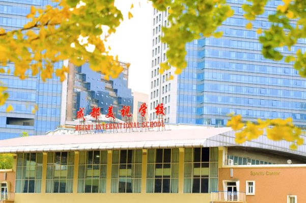 2024年成都美视学校小一、初一招生简章