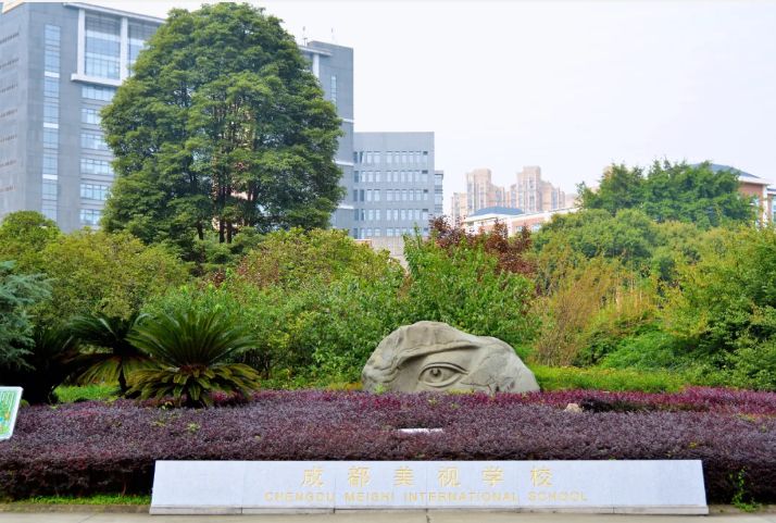 2024年成都美视学校小一、初一招生简章