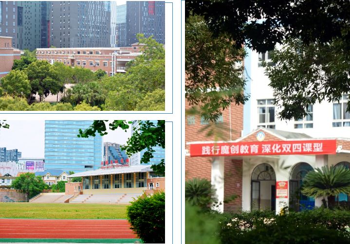 2024年成都美视学校小一、初一招生简章