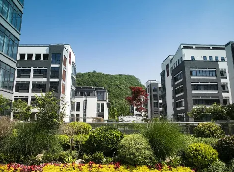 杭州上海世外中学