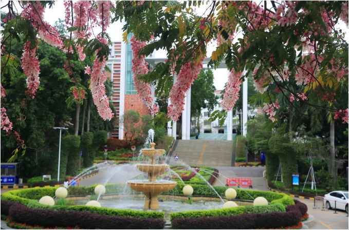 深圳市桃源居中澳实验学校24年高考复读班招生简章！