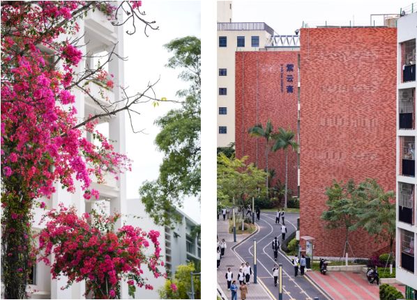 深圳市桃源居中澳实验学校24年高考复读班招生简章！
