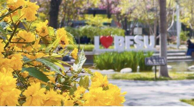 中考出分在即，如何领先起跑？北外ICC邀您7月一起&ldquo;阅卷&rdquo;！