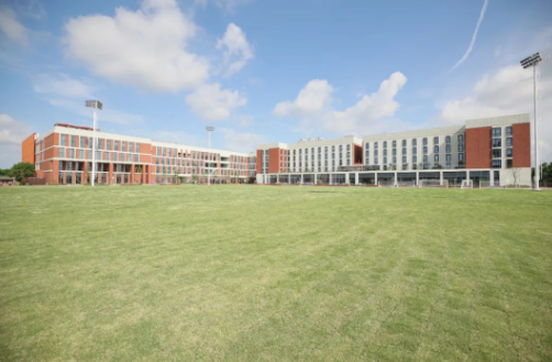 十二年一贯制国际学校|这所上海德闳学校怎么样？