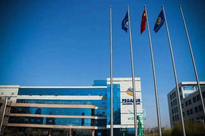 青岛博格思加州学校