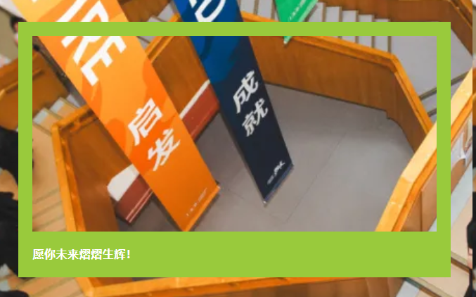 东莞文盛国际学校2024届毕业生IB文凭通过率为84.6%！