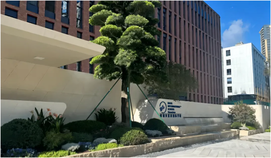 国际学校倒闭潮来袭！贝赛思却狂涨学费，贝赛思到底有何魅力？