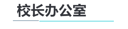 大连华美双语小学教师团队介绍(图36)