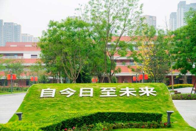 2024A-Level课程全球统考成绩放榜，天府中学融合创新高中部学子们收获丰硕成果！