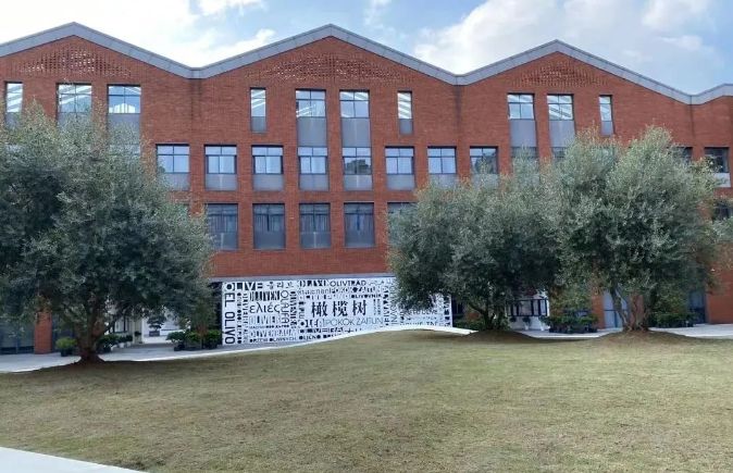 北京外国语大学附属杭州橄榄树学校