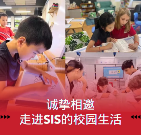 深圳市蛇口外籍人员子女学校：三十六年的国际教育，铸就卓越成绩！