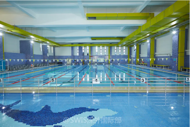 发布！深圳外国语学校国际部2025&ndash;2026学年招生信息！