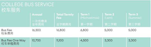 成都美视学校——成都唯二IB全学段国际学校！