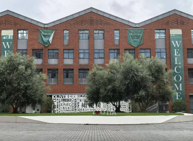 杭州橄榄树学校