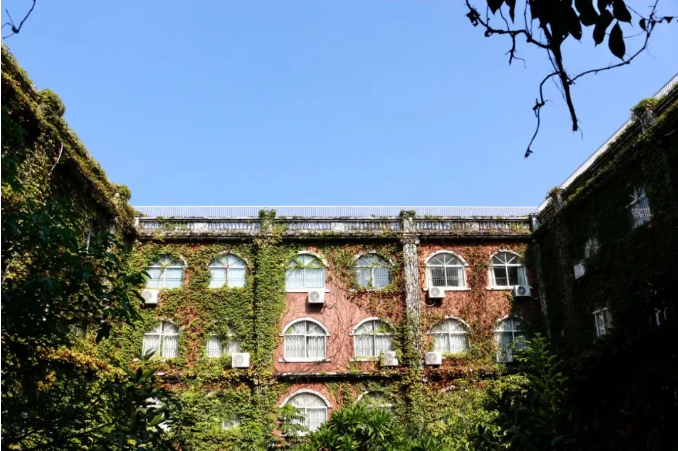 中英公学国际部每一年都有惊喜！斩获54份全球Top10院校录取！
