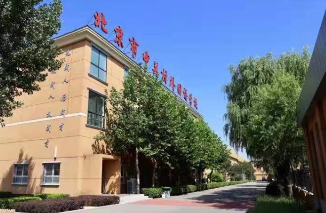 北京市中关村外国语学校