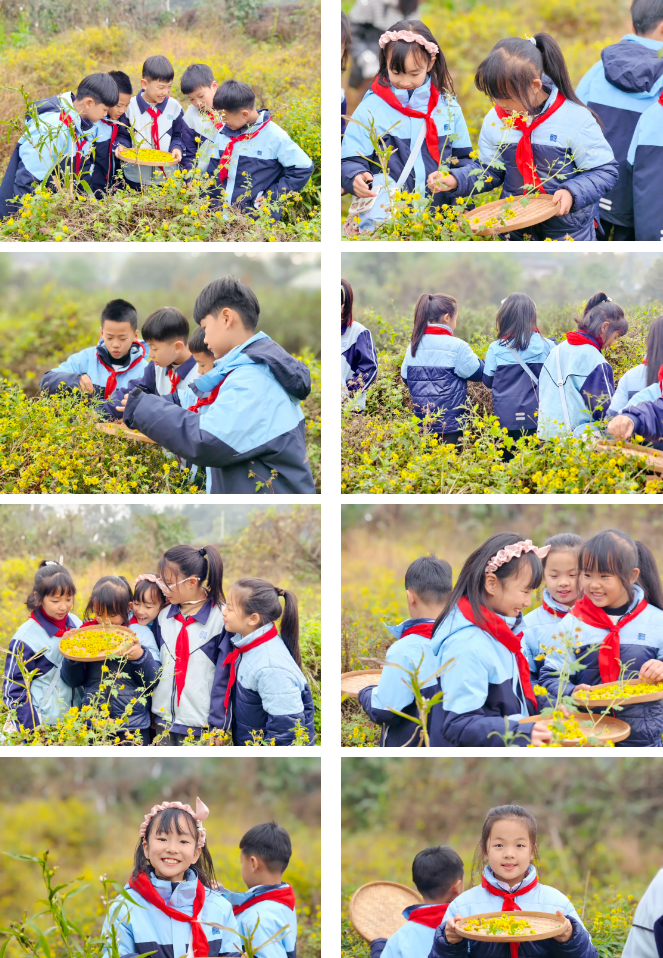 成都市郫都区绵实外国语学校：凝聚家校之力，共育成长之花！