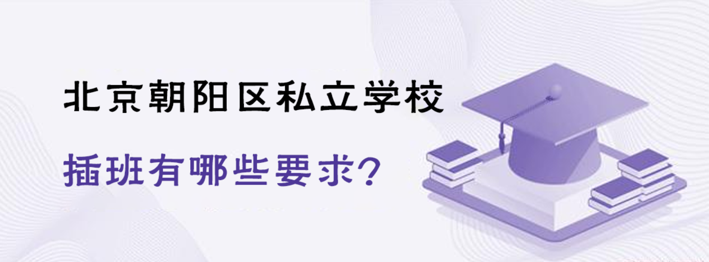 2025年北京朝陽區(qū)私立學(xué)校插班有哪些要求？