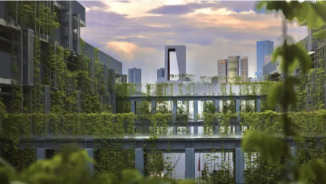 2025年深圳国际交流学院艺术招生简章！