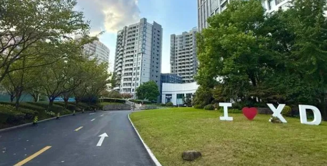 上海贤德课程全解析，多元升学无忧！