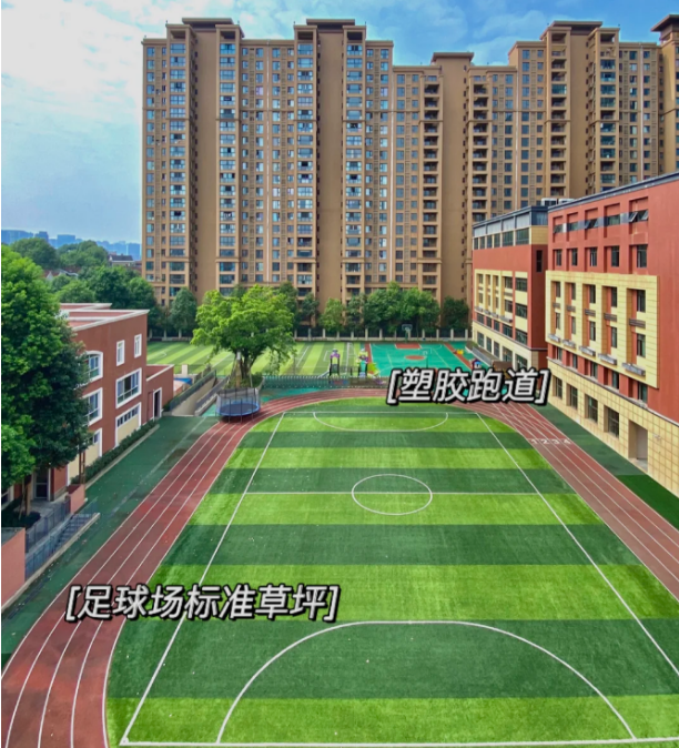 祝贺！恭喜沃顿公学学生在多个国际竞赛中斩获佳绩！