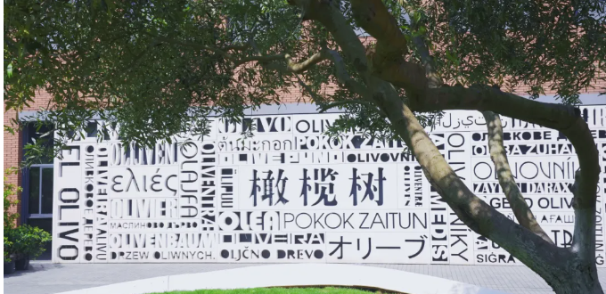 北外附屬杭州橄欖樹學(xué)校