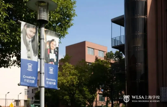 WLSA上海