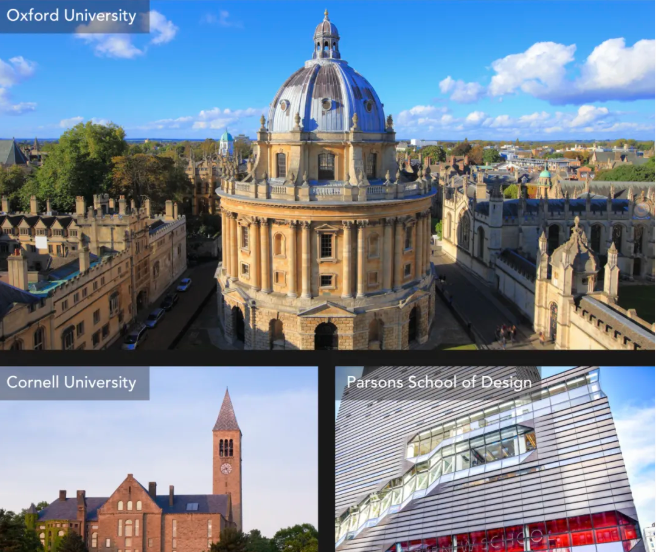 深圳市蛇口外籍人员子女学校早申录取捷报！