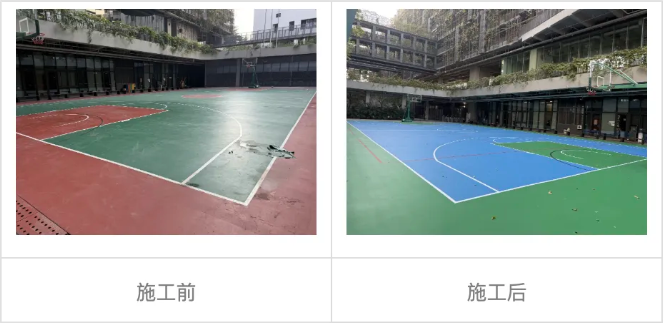 深国交：圣诞假期校园升级工程！