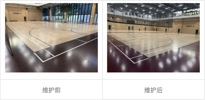 深国交：圣诞假期校园升级工程！