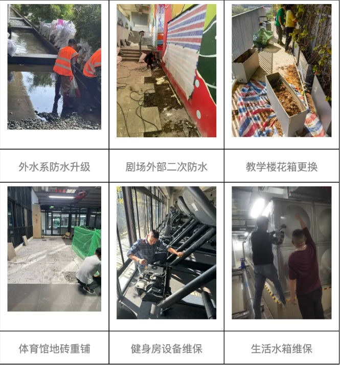 深国交：圣诞假期校园升级工程！