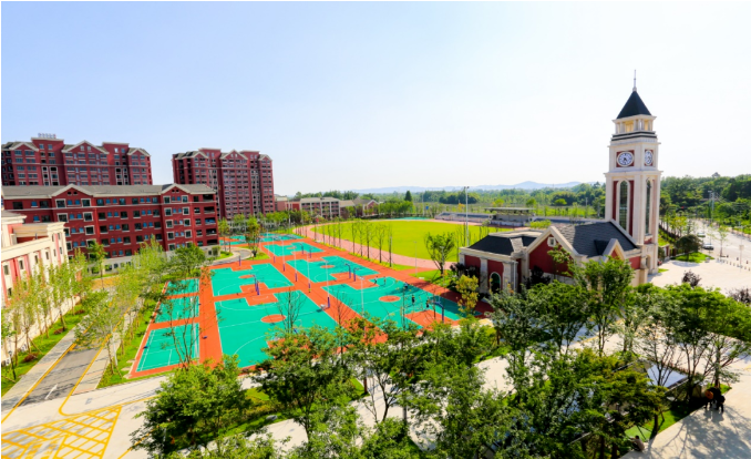 成都市新津区成外学校