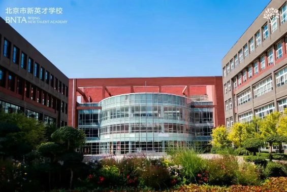 剑桥大学连续三年对北京市新英才学校的青睐，揭示了哪些成功之道？