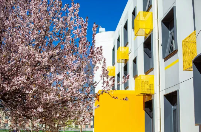 2025年北京中加学校国际高中学费多少？香港 DSE 高中项目适合哪些学生？