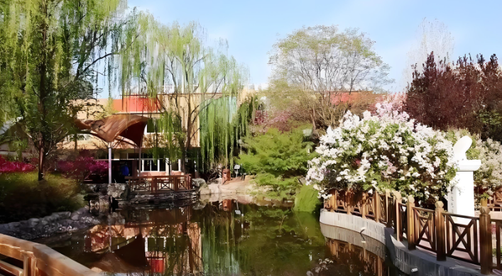 2025年北京中考300分，能否申请北京市师达中学国际部？