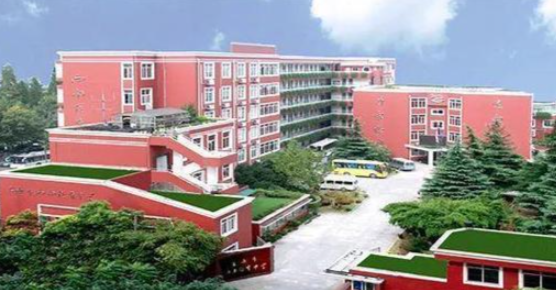 中考后转轨上海市西南位育中学国际部，最新排名战况如何？