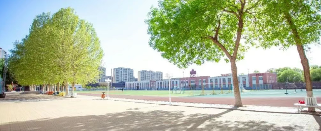 选 Alevel 还是 AP？北京中加学校课程选择指南