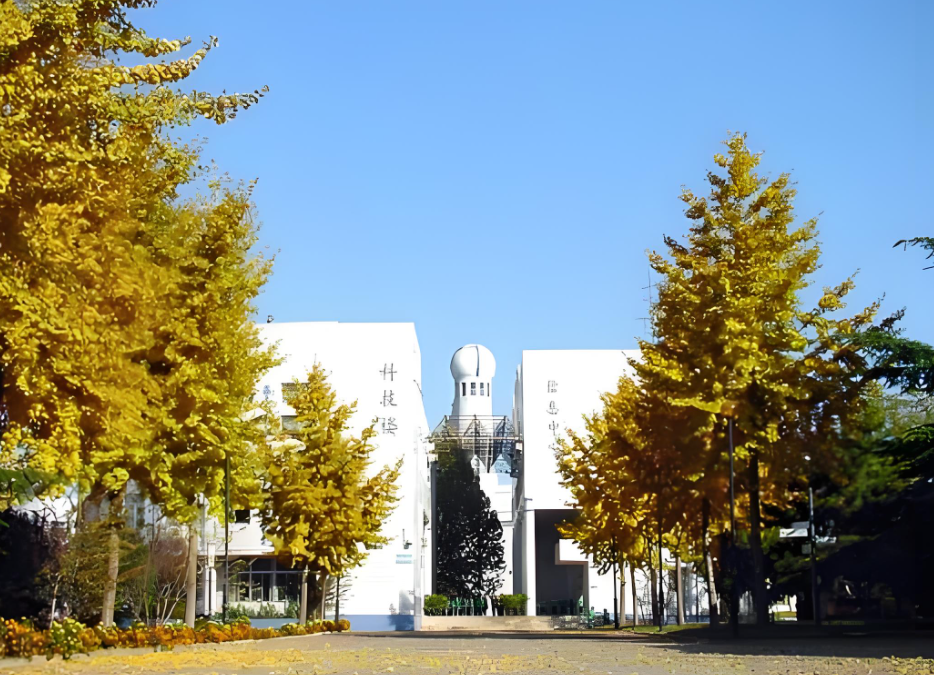 北京师范大学亚太实验学校​