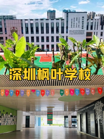 深圳国际学校天花板！100%进世界百强太香了