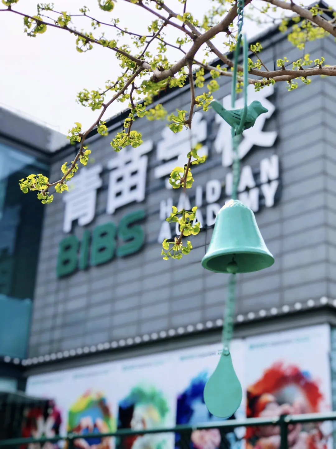 北京青苗学校2026-2027学年招生简章发布|入学申请正式开启