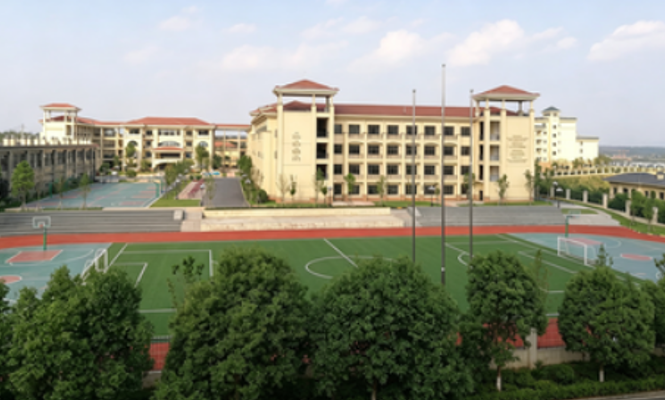 天府新区行知学校2026年招生简章！附学费+课程