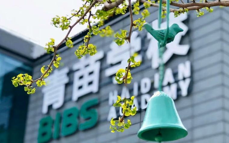 北京青苗学校普高2026年招生简章｜三校同启・多元升学・成就每个孩子的最优成长