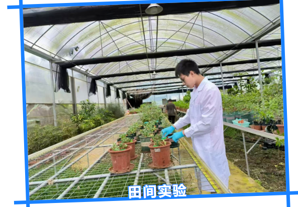 省实AP少年志|简明朗:以清晰规划,摘得UCB梦校(图4)