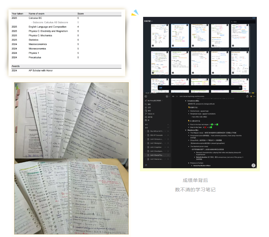 省实AP苏馨仪｜步履逐光，同步斩获港大、南洋理工双offer(图4)